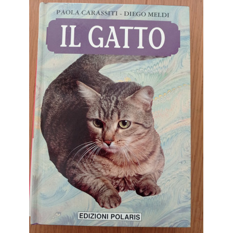 Il gatto