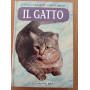 Il gatto