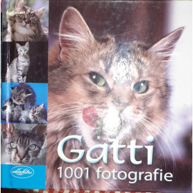 Gatti 1001 fotografie