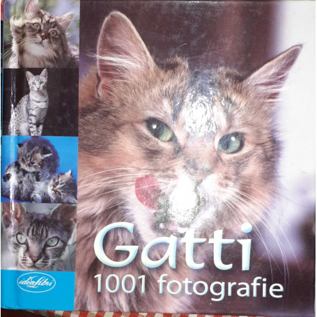 Gatti 1001 fotografie
