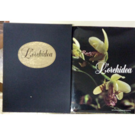 L'orchidea
