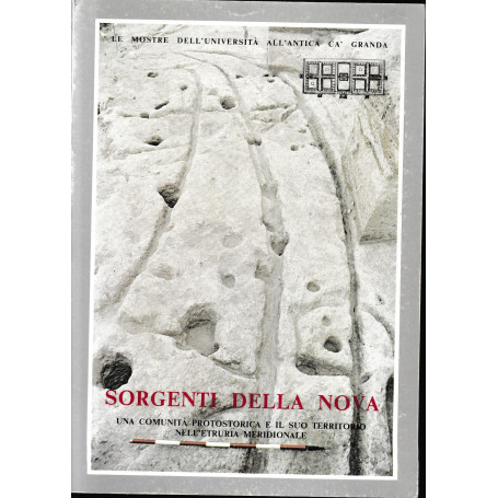 Sorgenti della nova. Una comunità protostorica e il suo territorio nell'Etruria meridionale
