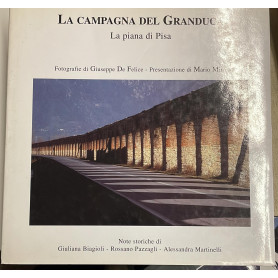 La campagna del granduca. La piana di Pisa