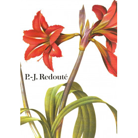 Pierre Joseph Redouté