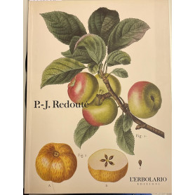 Pierre Joseph Redouté