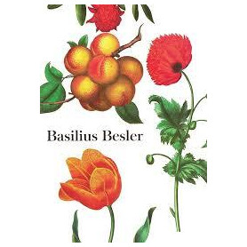 Basilius Besler
