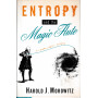 Entropy and the Magic Flute