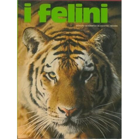 I felini
