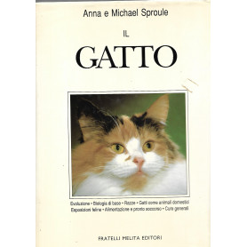 Il gatto