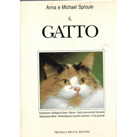 Il gatto