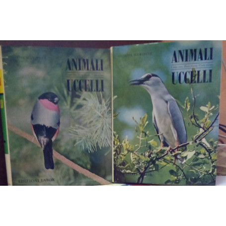 Animali. Come sono/Dove vivono/Come vivono. Uccelli due volumi.