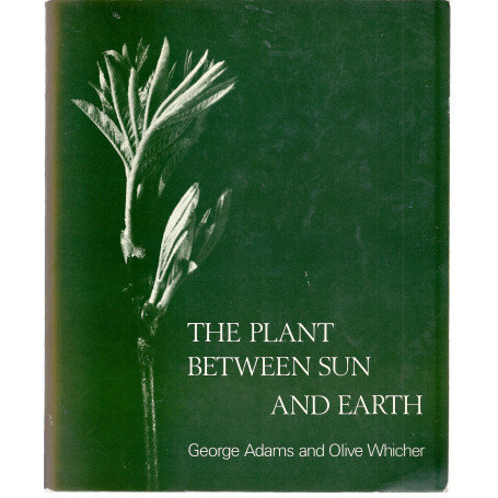 Plant Between Sun and Earth and the Science Physical and Ethereal Spaces: And the Science of Physical and Ethereal Spaces