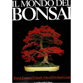 Il mondo del Bonsai
