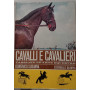 Cavalli e cavalieri. Passione ed arte equestre.