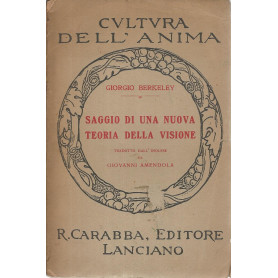 Saggio di una nuova teoria della visione