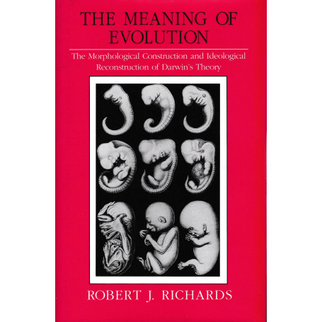 The meaning of evolution