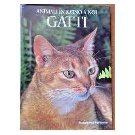 Animali intorno a noi - gatti