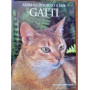 Animali intorno a noi - gatti