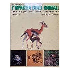 L' infanzia degli animali invertebrati pesci anfibi rettili uccelli mammiferi