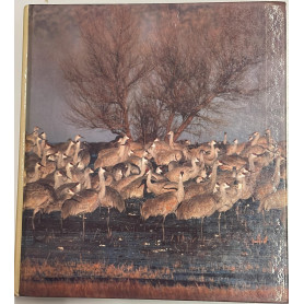 Biology: The Unity and Diversity of Life