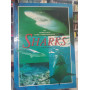 Sharks