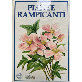 Piante rampicanti