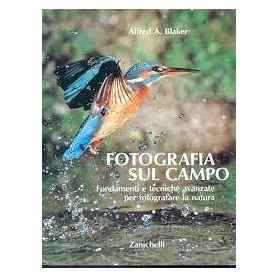 Fotografia sul campo