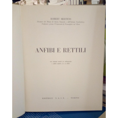 Anfibi e rettili.