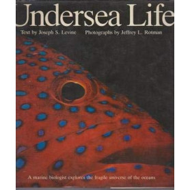 Undersea Life