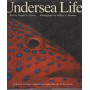 Undersea Life