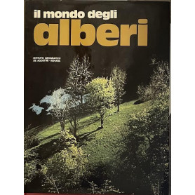 Il mondo degli alberi