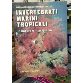 Invertebrati marini tropicali in natura e in acquario.
