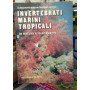 Invertebrati marini tropicali in natura e in acquario.