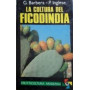 La coltura del ficodindia.