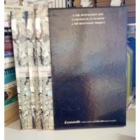 Il progetto diagnostico. Esempio di anfiteatro Flavio. Il cantiere. Tre volumi in cofanetto. Bilingue italiano e inglese.