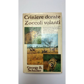 Criniere dorate. Zoccoli volanti