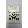 Farfalle