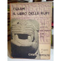 Il libro delle rupi. Alla scoperta dell'impero degli Ittiti.