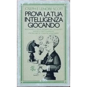 Prova la tua intelligenza giocando