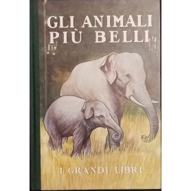Gli animali più belli