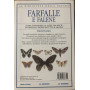 Farfalle e falene.