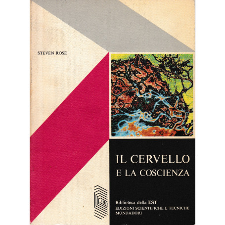 Il cervello e la coscienza