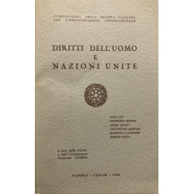 Diritti dell'uomo e Nazioni Unite