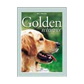 Il Golden Retriever.
