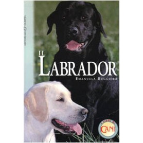 Il labrador.