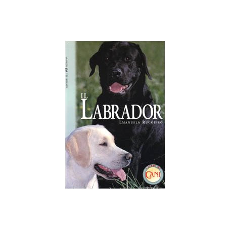 Il labrador.