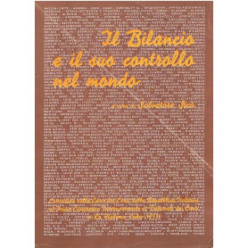 Il bilancio e il suo controllo nel mondo