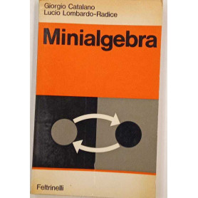 Minialgebra