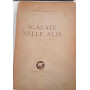 Scalate nelle Alpi