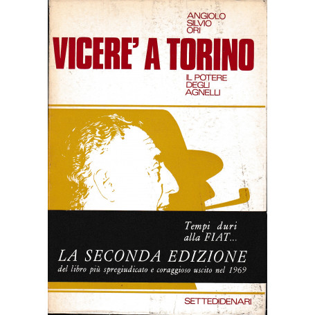 Viceré a Torino. Il potere degli Agnelli